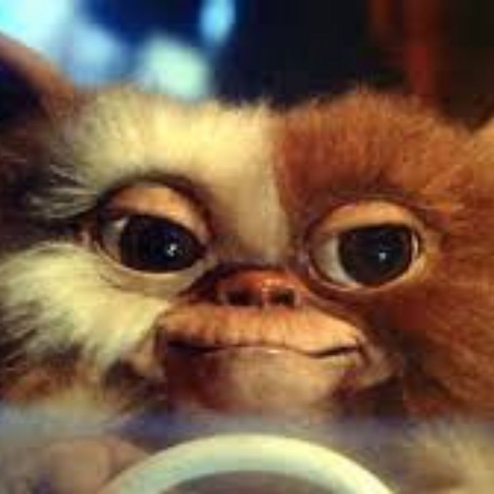 Meet your Posher, Kurt